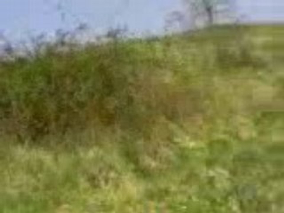 Comen se retourné en moto