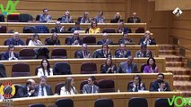 Rocio de Meer interviene en Pleno sobre Reales Decretos. 10.01.2024