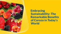 Embracing Sustainability : The Remarkable Benefits of Corozo in Today's World