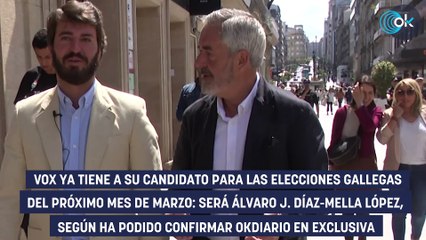 Álvaro Díaz-Mella será el candidato de Vox a las elecciones gallegas