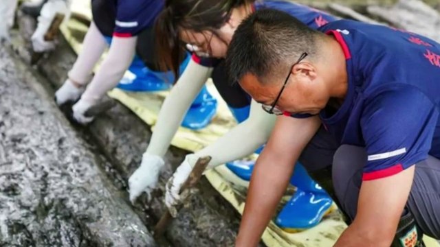 A 2,000-year-old “celestial calendar” was discovered in an ancient Chinese tomb!