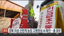 경북 의성 산란계 농장 고병원성 AI 확진…총 29곳