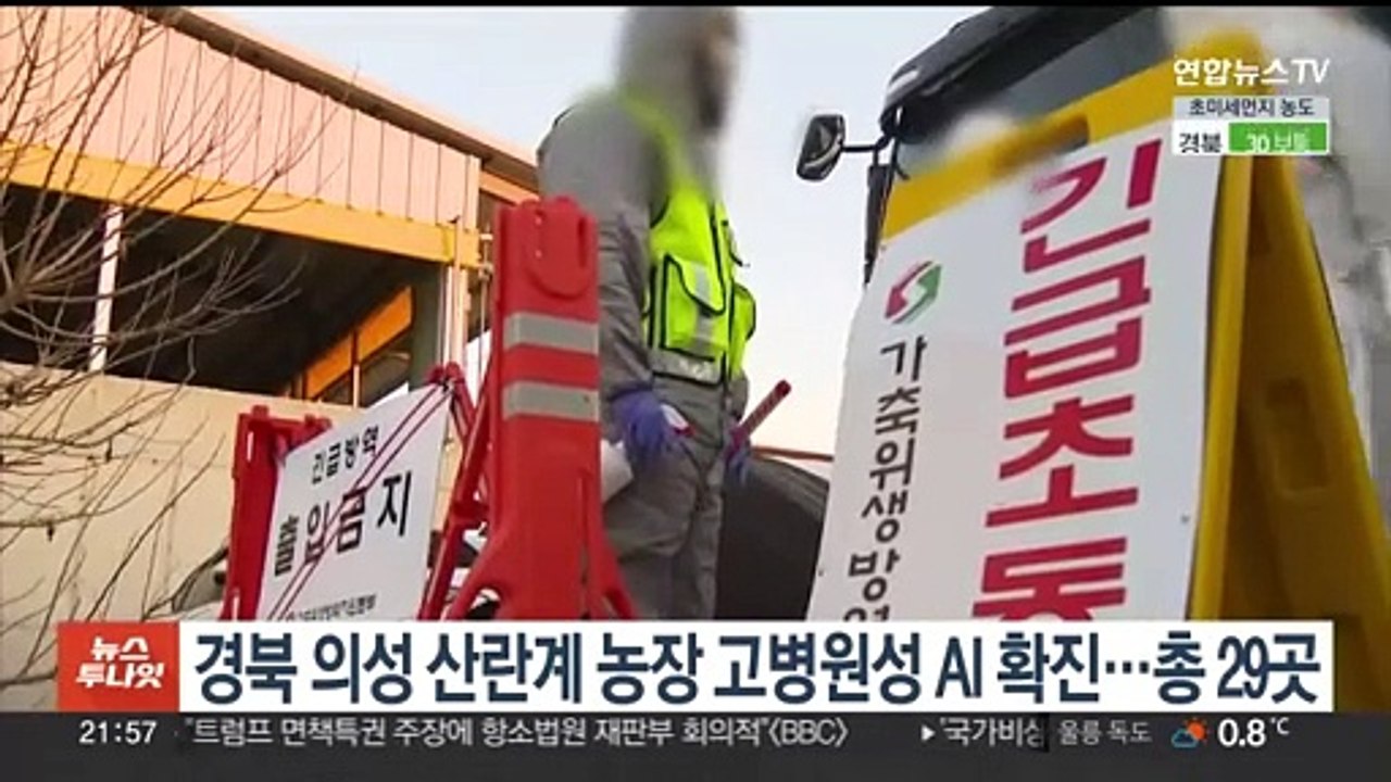 경북 의성 산란계 농장 고병원성 AI 확진…총 29곳