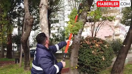Efeler Belediyesi, park ve bahçelerin bakımını titizlikle sürdürüyor