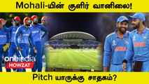 IND vs AFG 1st T20: Mohali-யின் Pitch & Weather Report எப்படி இருக்கு? | Oneindia Howzat