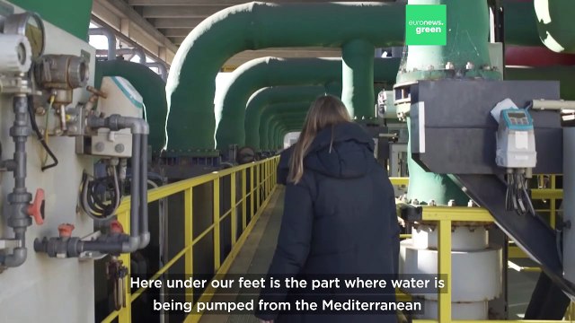 Drought reveals sunken 11th century church as Spain battles prolonged water shortages