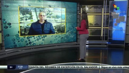 Israel comete alrededor de 14 masacres contra el pueblo palestino en las últimas horas