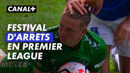 les plus beaux arrêts de Premier League