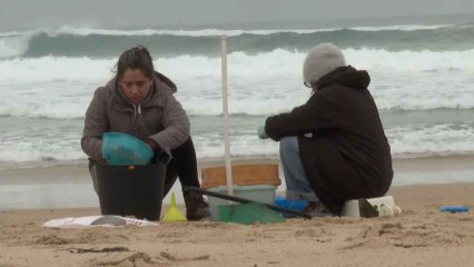 'Pellets' de plástico en las costas de Galicia