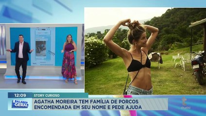 Agatha Moreira tem família de porcos encomendada em seu nome e pede ajuda