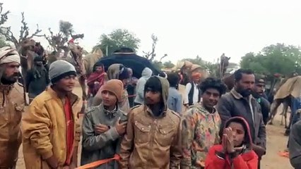 रामदेव पशु मेला में परंपरागत भारतीय खेलों की प्रतियोगिता में भाग लेने के लिए आते थे विदेशी सैलानी.......