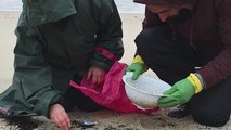 متطوعون يجمعون ملايين الكرات البلاستيكية الدقيقة من شواطئ شمال غرب إسبانيا