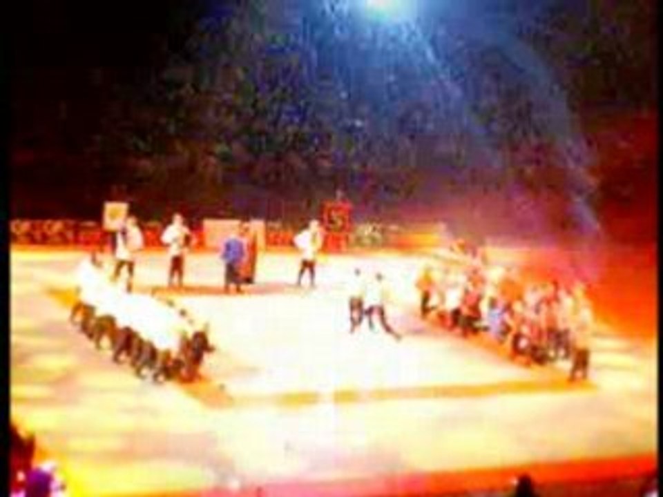 Festival des arts martiaux Bercy 2008