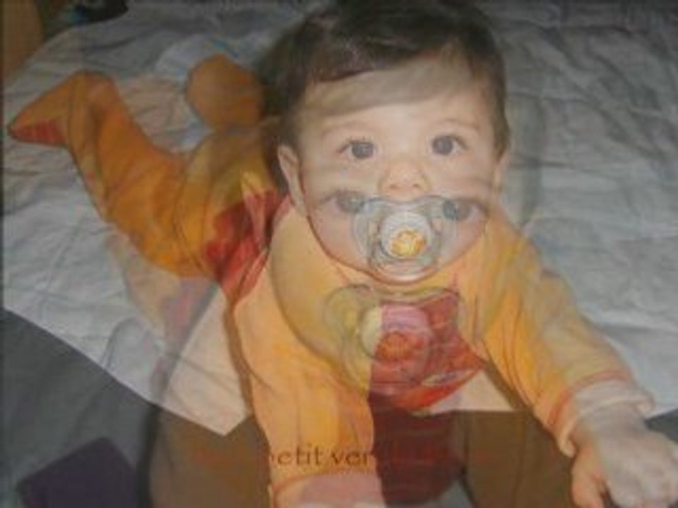 mon loulou en images
