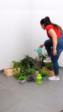 Organize Your Greenery With This Easy Diy Project Gardendesign Diyprojects