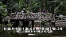 Bosque Rodrigues é legado da Belle Époque e pedaço de floresta nativa no coração de Belém