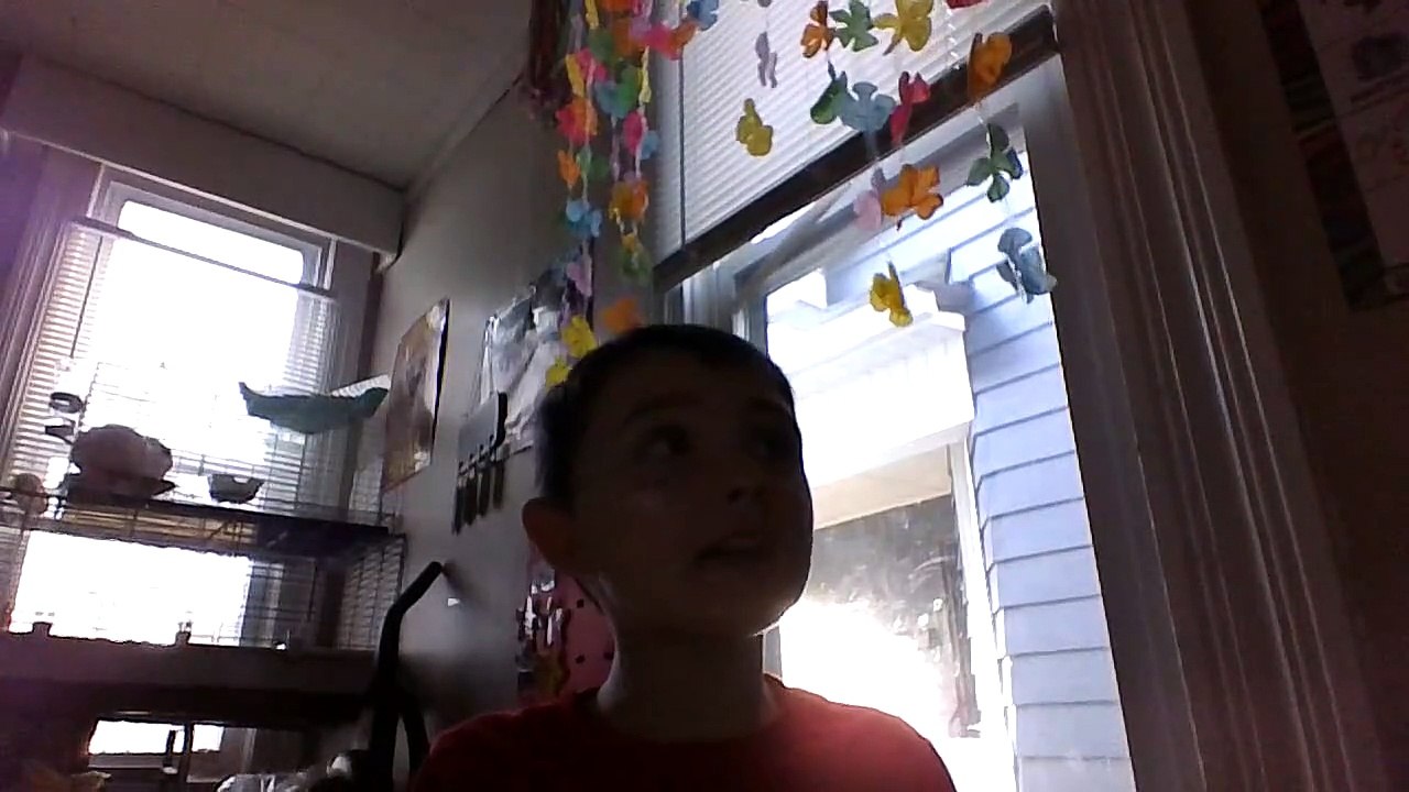 VID_20231211_154013