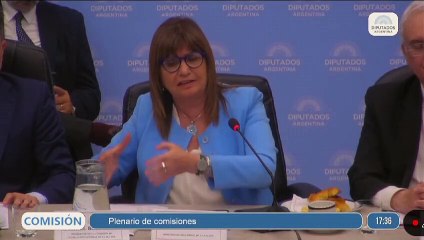 Cruce Bullrich Diputados