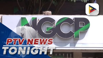 Lawmakers grill NGCP resource persons about Panay Island power outage