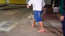 Ouvindo vozes, idoso é preso após chamar vizinha de macumbeira no Brasília