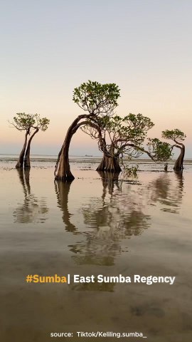 Ternyata Gak Cuma Satu Keindahan Di Sumba, Banyak Banget!!