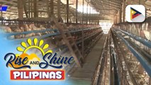 DA, ipinagbawal ang pag-angkat ng poultry products mula sa Belgium at France dahil sa outbreak ng avian influenza