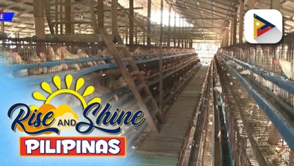 Descargar video: DA, ipinagbawal ang pag-angkat ng poultry products mula sa Belgium at France dahil sa outbreak ng avian influenza