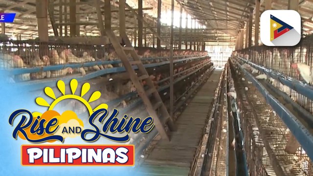 DA, ipinagbawal ang pag-angkat ng poultry products mula sa Belgium at France dahil sa outbreak ng avian influenza