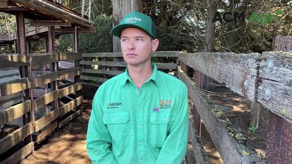 Hamilton all breeds heifers sale | January 11, 2023 | Stock & Land