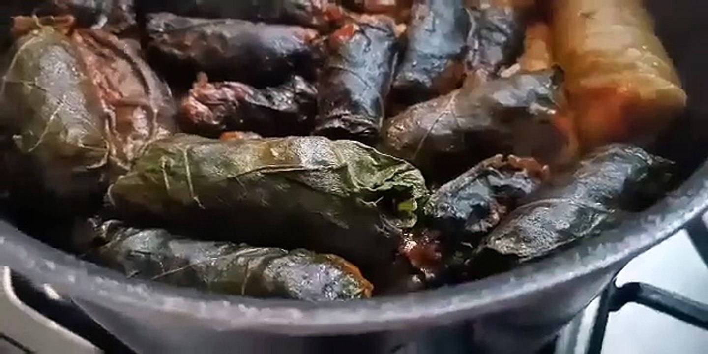 Yummy lunch  dolma love that sound #delicious #food #enjoy #yummy #dolma#ضولمة #لذيذ #tasty