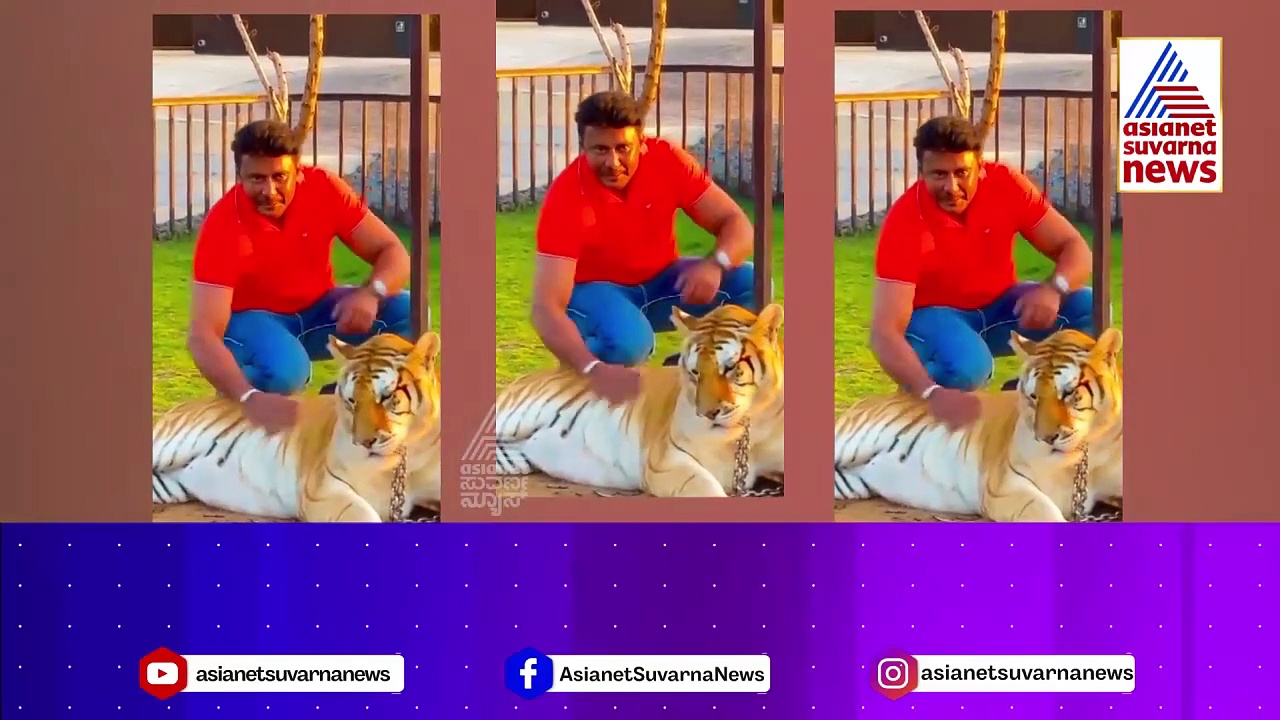 ದುಬೈನ ಅನಿಮಲ್ ಝೂನಲ್ಲಿ ನಟ ದರ್ಶನ್: ಪ್ರಾಣಿಗಳ ಜೊತೆ ಟೈಮ್ ಪಾಸ್!