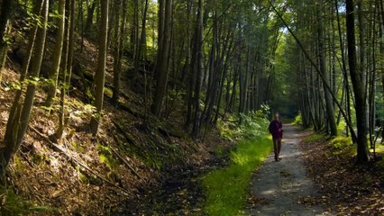 Discover Dread Tunnel - An Award-Winning Terrifying Short Film
