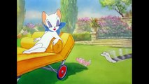 Tom i Jerry po polsku Trochę świeżego powietrza! WB Kids