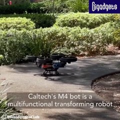 M4 Bot is A Multifunctional Transforming Robot #shorts #viral #shortsvideo #video #innovationhub
