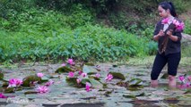 Harvesting Water Lily - In my hometown, water lily can be used as a dish