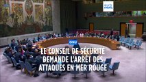 L'ONU exige l'arrêt des attaques houtistes en mer Rouge