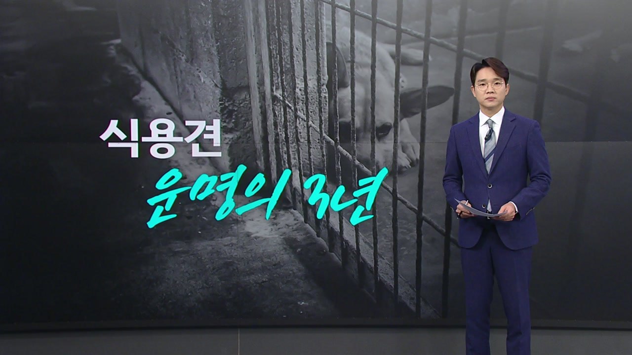 '개식용금지'법 통과...'52만 식용견'은 어디로? [앵커리포트] / YTN