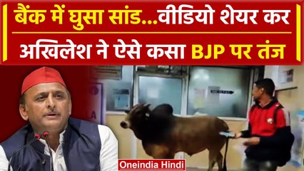 UP: Bank में घुसा सांड तो Akhilesh Yadav ने ऐसे कसा BJP पर तंज | वनइंडिया हिंदी #Shorts