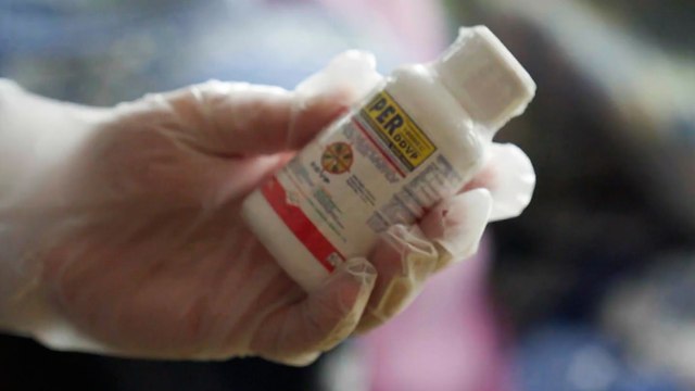 «L'enfer des punaises de lit» : le documentaire choc d'Envoyé spécial sur une psychose française