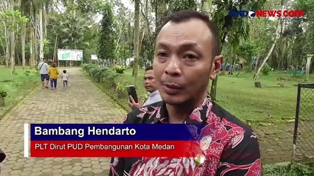 Kondisi Empat Harimau Sumatera di Medan Zoo, Tiga Diantaranya Terancam Mati