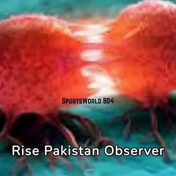 spiritual quotes in English: The greatest glory in living lies not in never falling, but in rising every time we fall. - Nelson Mandela
