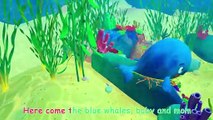 Mom and Baby Blue Whale Lullaby _ CoComelon Nursery Rhymes _ Kids Songs