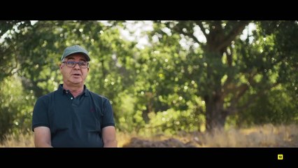 Vuelo JK5022: El Trágico Accidente Que Marcó a España E01