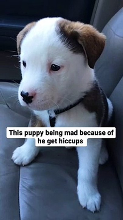 This innocent soul