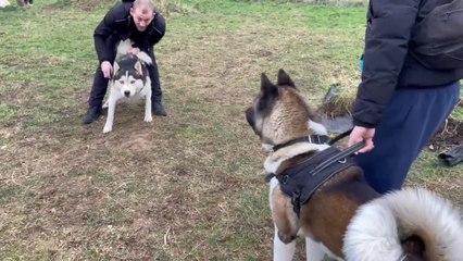 La Louvière inauguration du nouveau parc canin