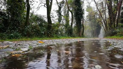 Suono rilassante della pioggia