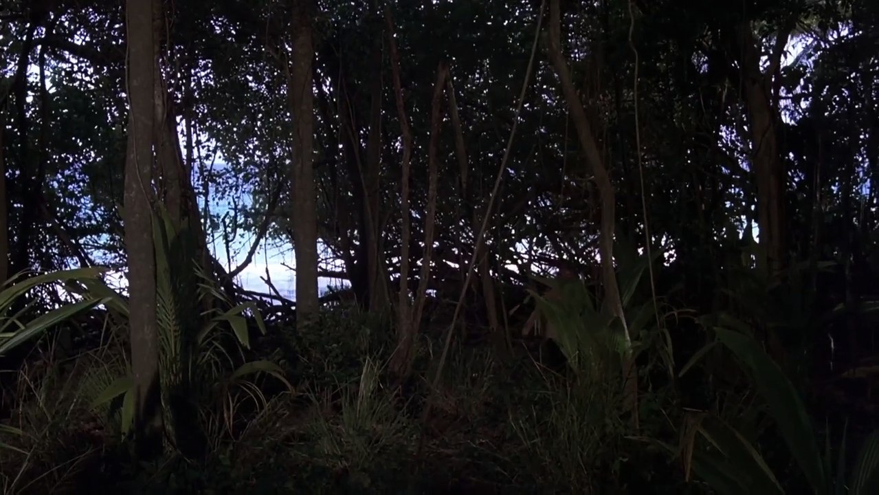 Ostrov dr.Moreaua 1977 CZ dabing