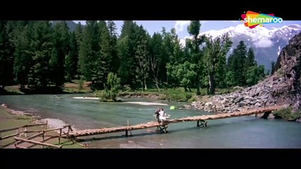 Teri Tasveer Mil Gayee/ Shabbir Kumar /Betaab 1983