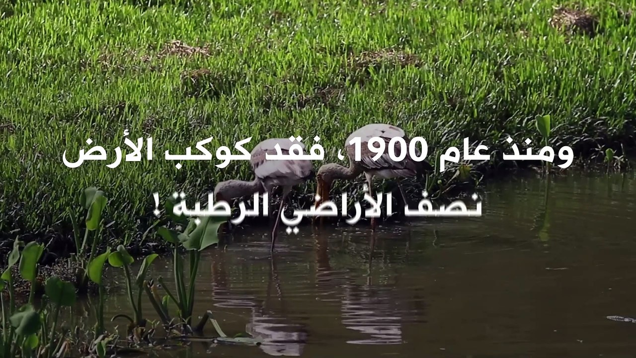 4 مليارات شخص يعانون من ندرة المياة العذبة سنوي...