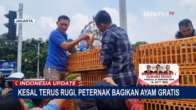 Kesal Rugi Terus, Komunitas Peternak Unggas Bagikan Ayam Gratis di Patung Kuda Jakpus